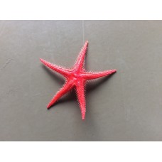 Estrella Mar